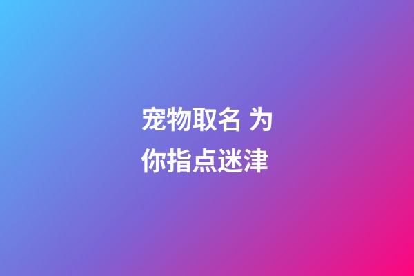 宠物取名 为你指点迷津